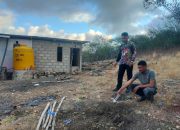 Heboh, Warga Sabu Raijua Temukan Jasad Bayi Dimakan Anjing, Polisi Tahan Ortu Bayi