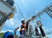 Menjaga Keandalan Pasokan Listrik, PLN Lakukan Pemeliharaan Jaringan Transmisi SUTT Kupang dan Flores