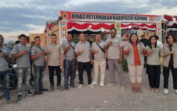 Gairahkan Peternakan di NTT, HP2SK Bagikan Sapi Betina Produktif di Dua Kabupaten dalam Momentum Hut Kemerdekaan RI